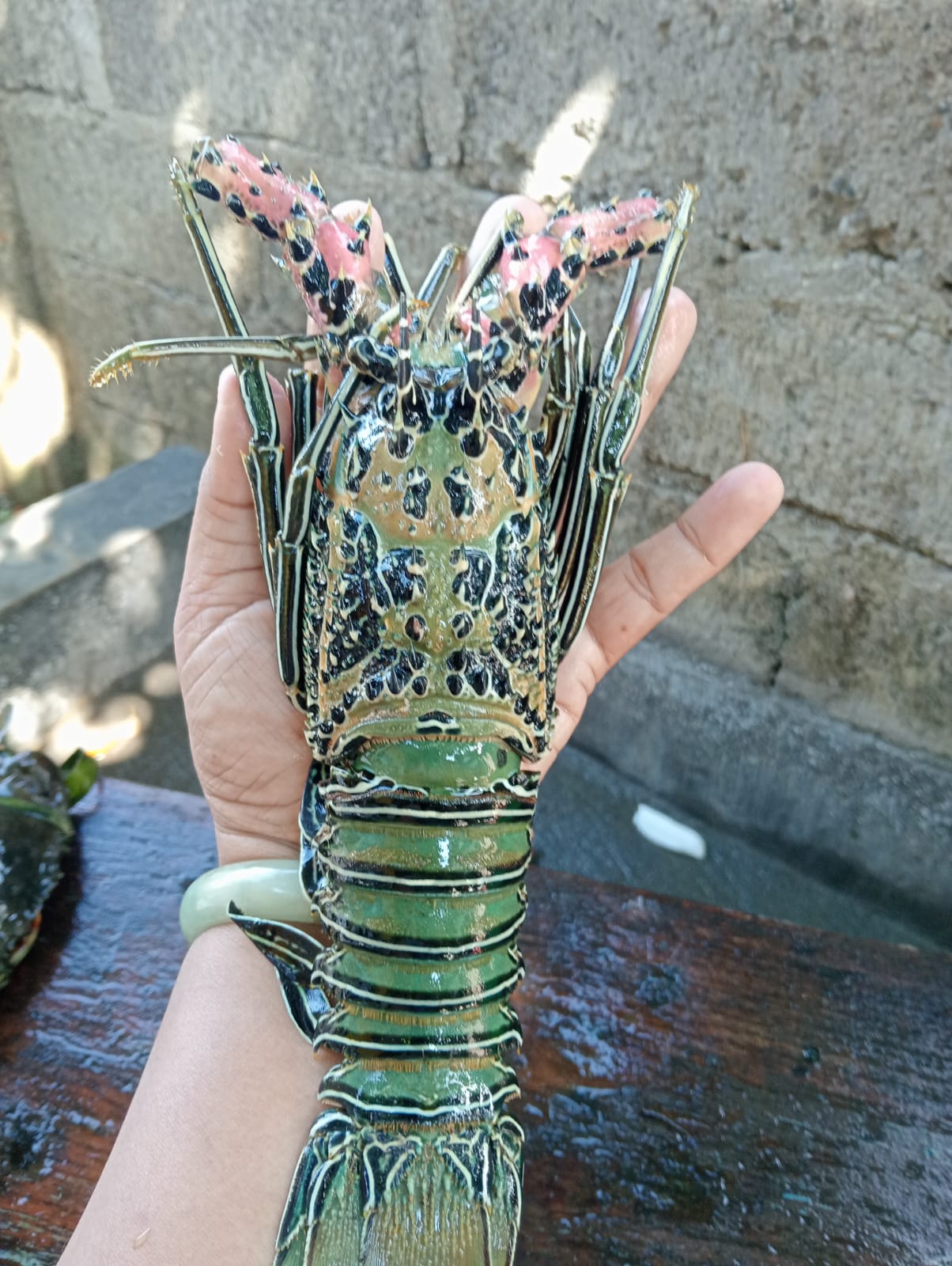 Pratama seafood Banyuwangi